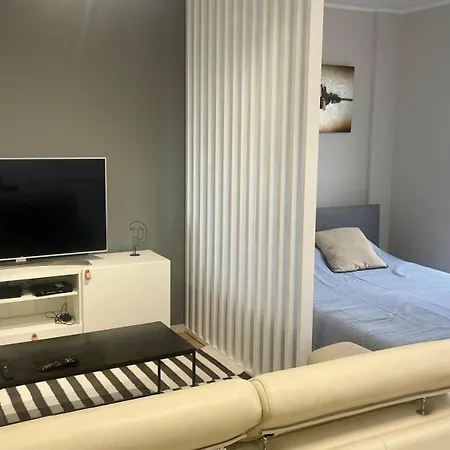 Centrally Located In Ns Novi Sad